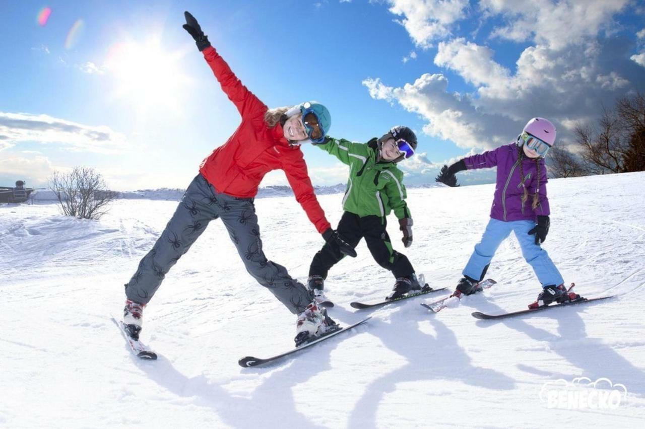 Profamily Hotel Top Benecko Εξωτερικό φωτογραφία